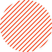 Life at AscentIQ Global Background Element - Employee Development